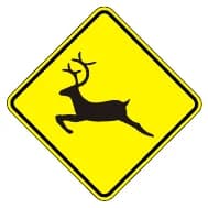 Animales salvajes Animales salvajes